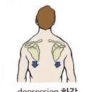 송산헬스 이미지