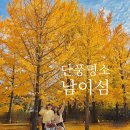 서울 근교 단풍명소 남이섬 아이랑 가기 좋은 단풍여행 (11/2)
