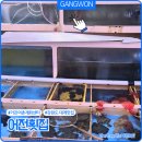 거진활어회센터 이미지