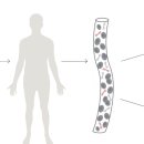 다형바이오 이미지