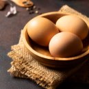 그린빌사우나 이미지