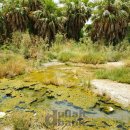 오아시스한증막 이미지