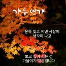 11월5일 화요일 오늘의 책속의 한마디 이미지