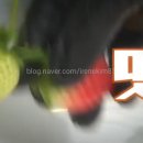 법인서남