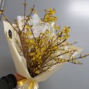 개나리꽃집 이미지