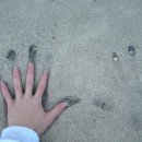 조던의 손, 발 사이즈와 제 사이즈 비교 사진 이미지