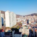 오성부동산공인중개사사무소 이미지