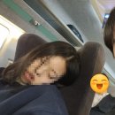 UR(경주시)-[경감로]-하-41 | 경주에! 다녀왔어요