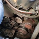 강언근자동차병원 이미지