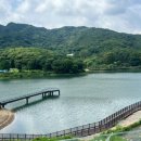 브루다 양주 이미지