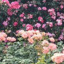 심곡1동행정복지센터 이미지