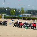 대관초등학교 이미지