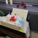 강아지의 품격 이미지