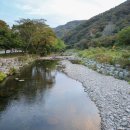 가인야영장 이미지