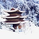 홍일농장 이미지