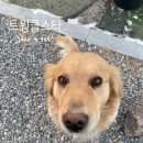 달빛추억팬션 이미지