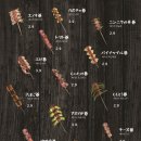 모모사