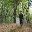 완산-169 Daum카페
