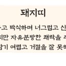 소풍여행사주 이미지