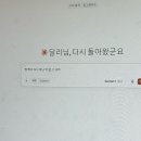 내강아지&내야옹이 | 8월 정산(빅뱅 컴백 빅뱅 콘서트 후기 빅뱅 신곡 빅뱅 위크 빅뱅 나 빅뱅.. ..)