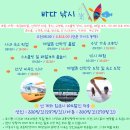 파라다이스여행사 - 서대문구 신촌로 59 | 마사지 추천｜역대급 시원한 마사지 | 청결한 시설 | 샤워 및 샌딩까지 가능한 파라다이스 마사지 후기