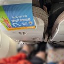 842 | 상하이항공 FM842 수완나품공항→푸동공항 탑승 후기(feat. 자리구조, 기내식)