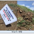 노+리마당 이미지