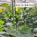 한운농장 이미지