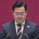 평화의안 이미지