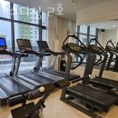 마제스티짐 2호 이미지