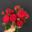 봉곡동070 이미지