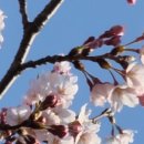 안산천1 이미지