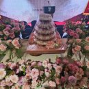 메디사이언스 이미지