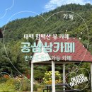 함백산 민박 | [공삼삼 카페] 태백 함백산 반려견 동반 카페 추천 내돈내산
