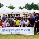 좋은사람마켓