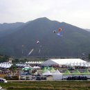 산청지리산약초 Daum카페
