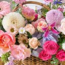 모현동-57 이미지