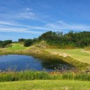 골프팡팡 이미지