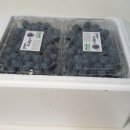 조아농원 이미지