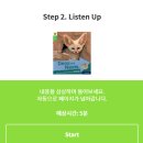 만 4세 리딩앤 ALL 내 돈 내산 3개월 사용 후기