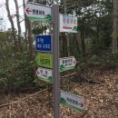 금성초교 동쪽 사거리 | 진도에서 새 해를 품다