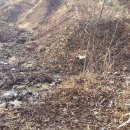 현리목장 이미지