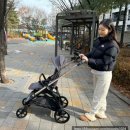 내돈내산 디럭스 유모차 [잉글레시나 앱티카듀오] 구입한 이유