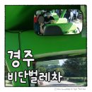 월성체육시설 | 경주 비단벌레차 예약 방법 시간 요금 탑승 후기