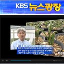 KBS방송국 2012년 12월 18일 오전 6시 40 뉴스광장 선물용 한국춘란 신품종 아리울 보도 이미지