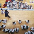 태권도덕진체육관 이미지