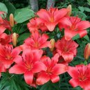 반포삼정공인중개사사무소 이미지