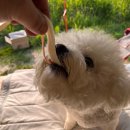 개린이날 이미지