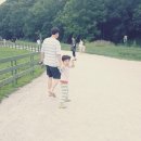 장수하늘소목장 이미지