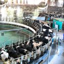 산동목장 이미지